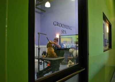 Grooming Spa