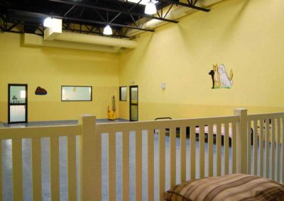 Yellow Playroom