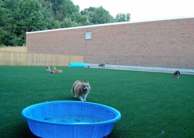 K9 Grass Play Yard