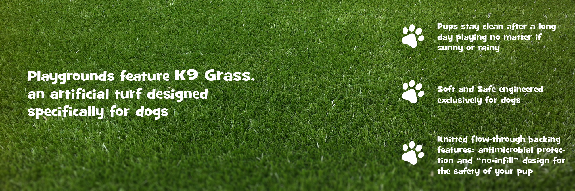 K9 Grass test05
